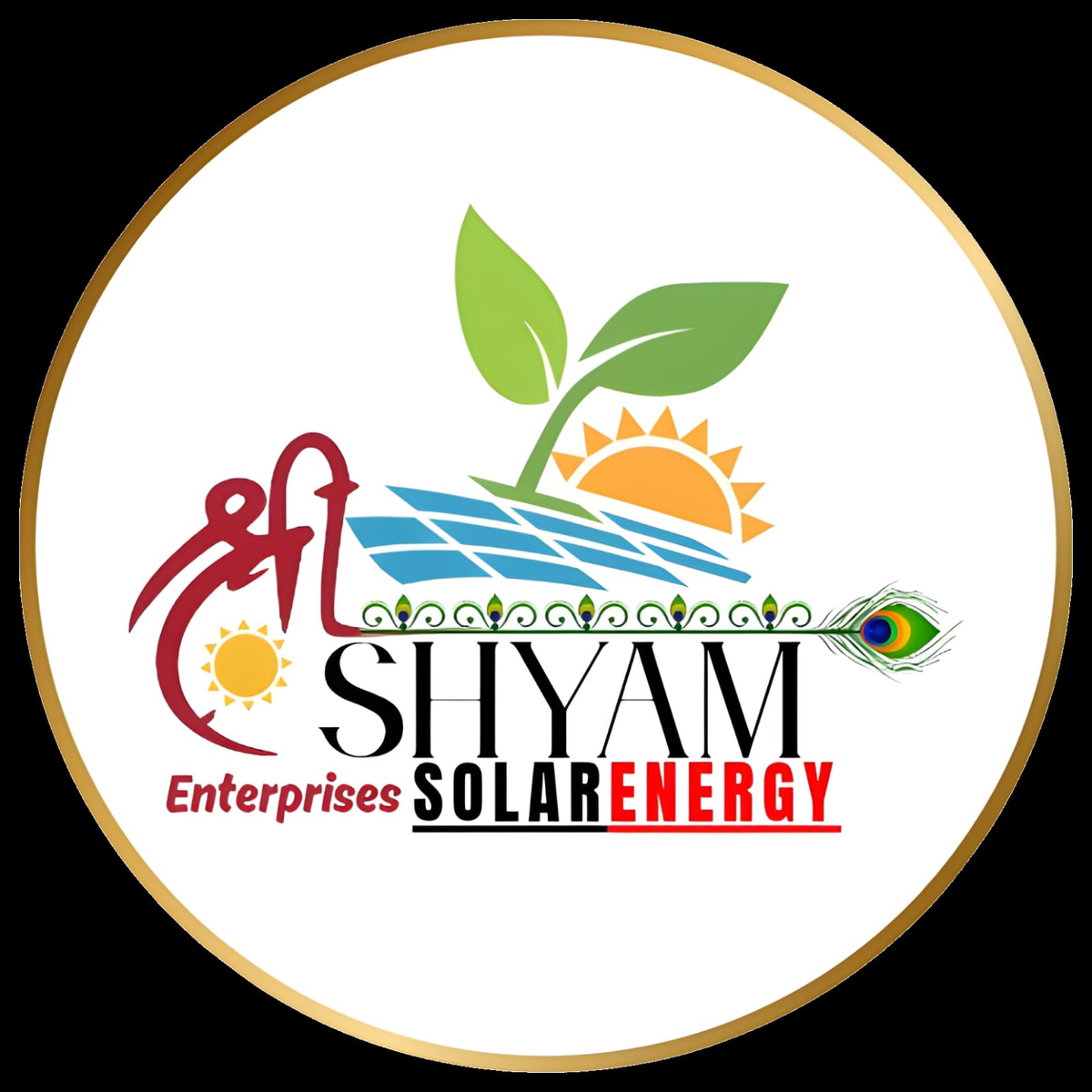 Shri Shyam Enterprises