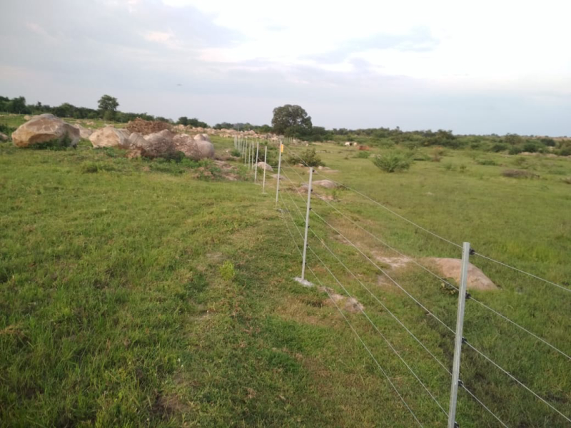 Solar fencing
