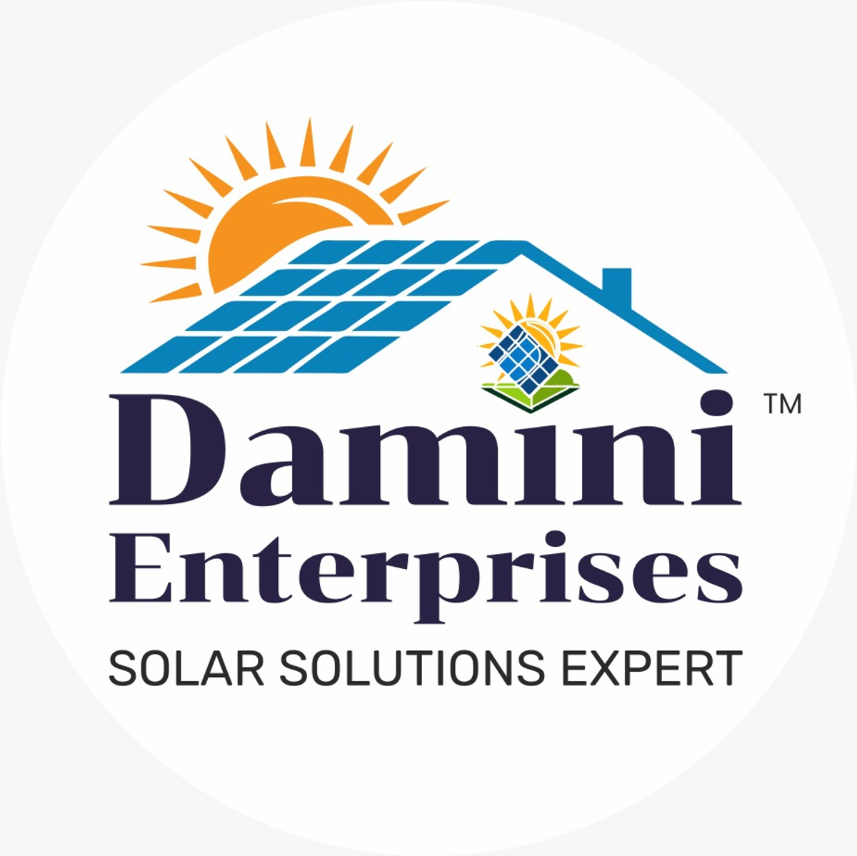 Damini Enterprises