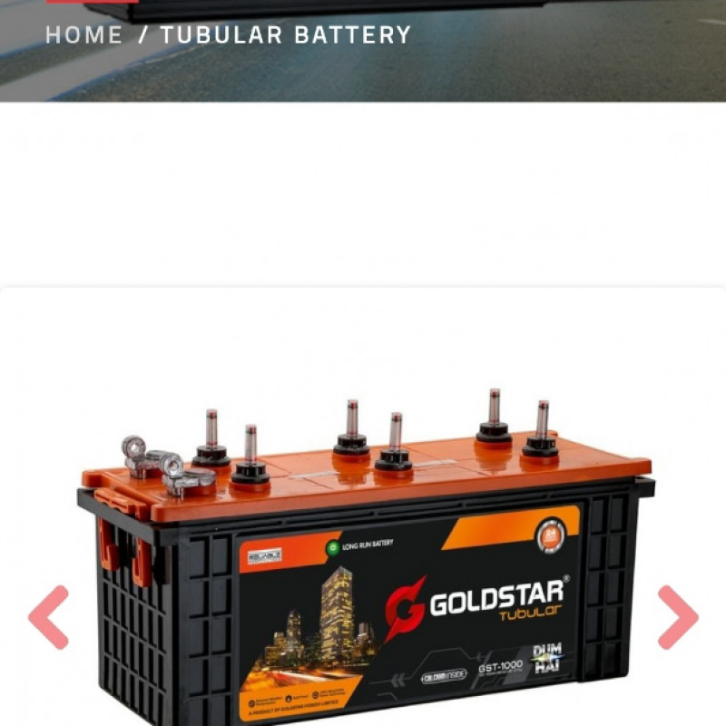 gold Star tubular battery