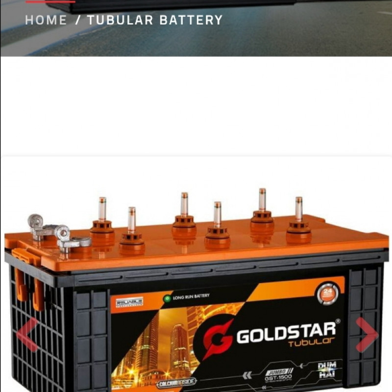 gold Star tubular battery