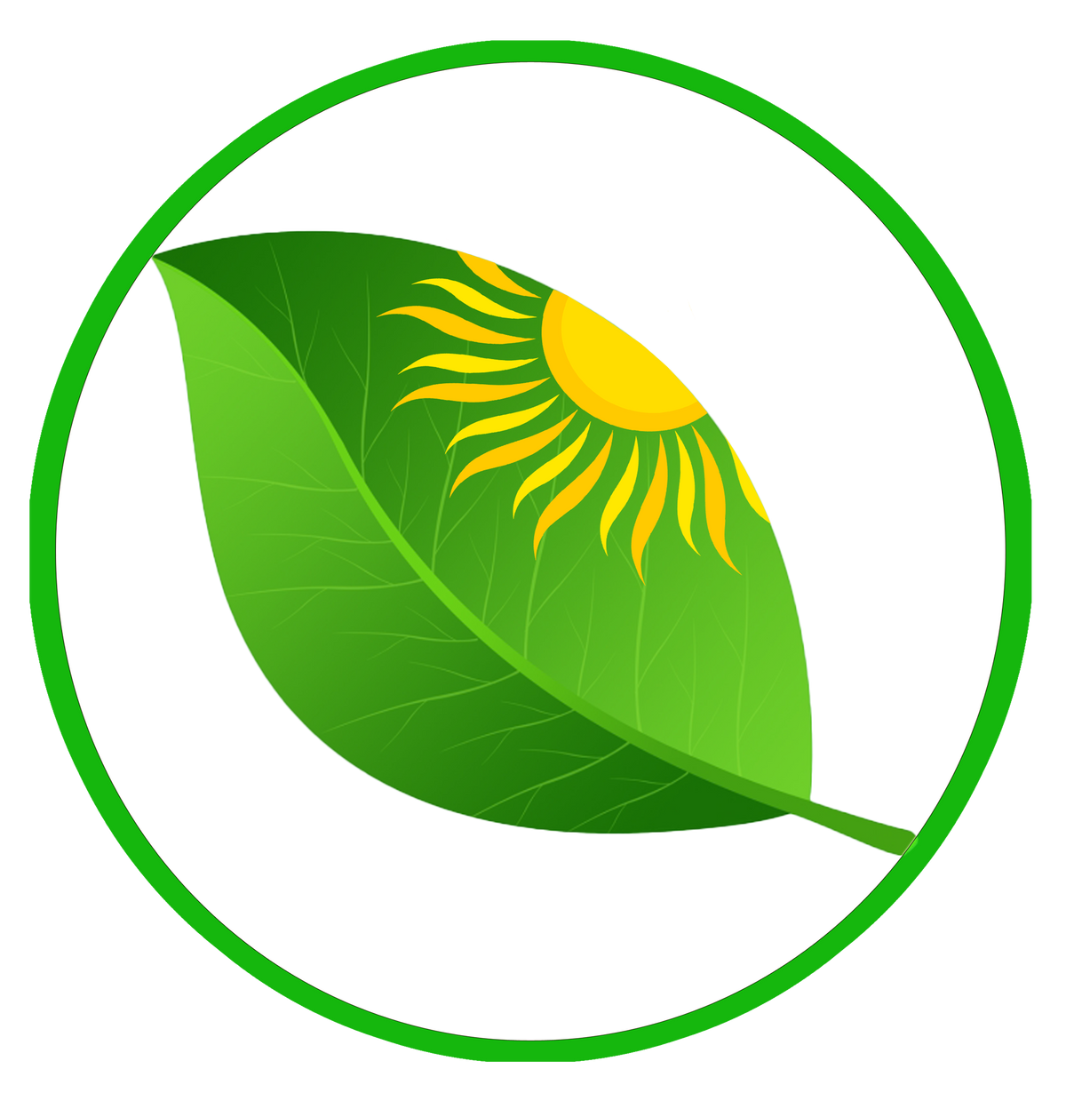 Solar Solution Tech.