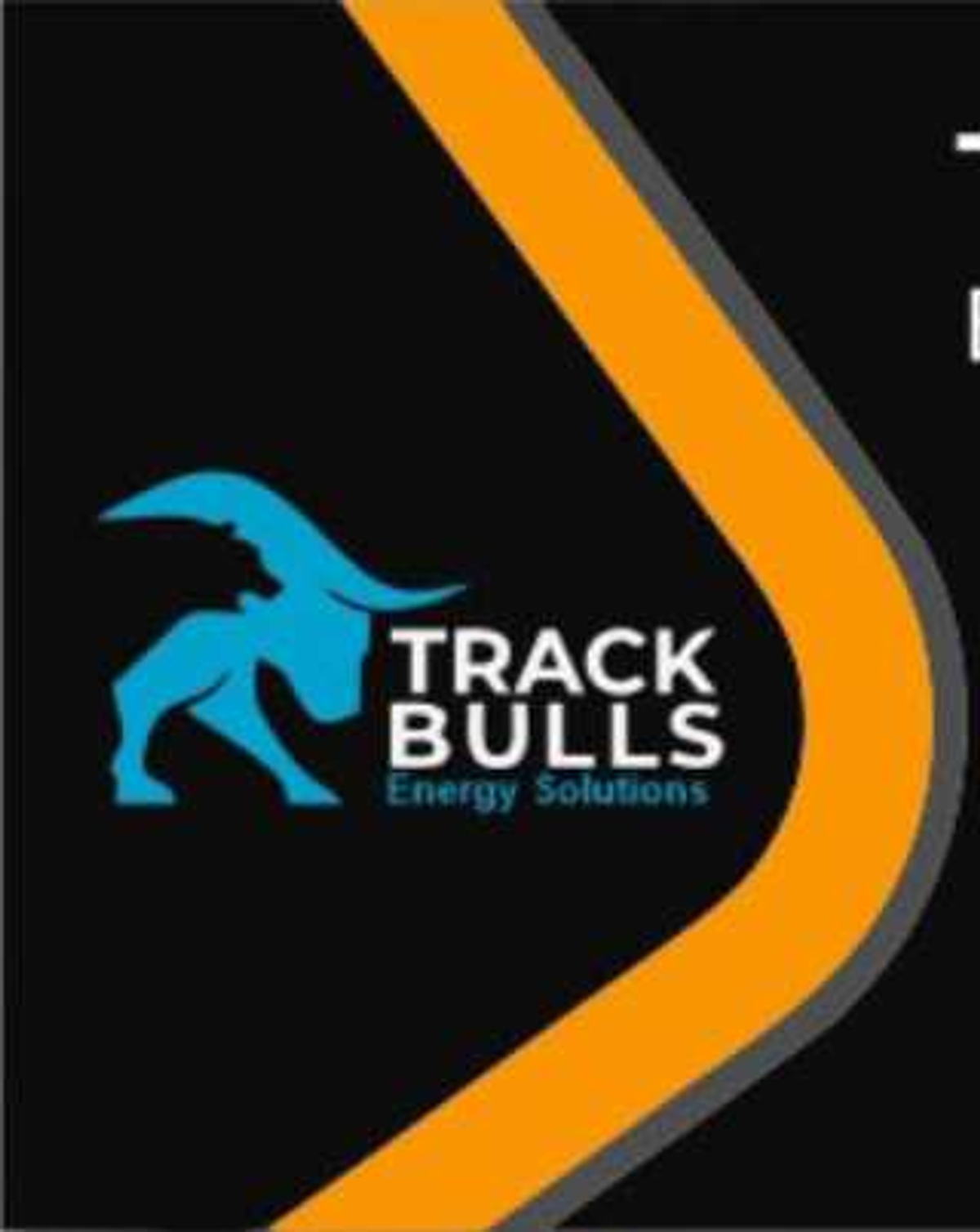 Trackbulls