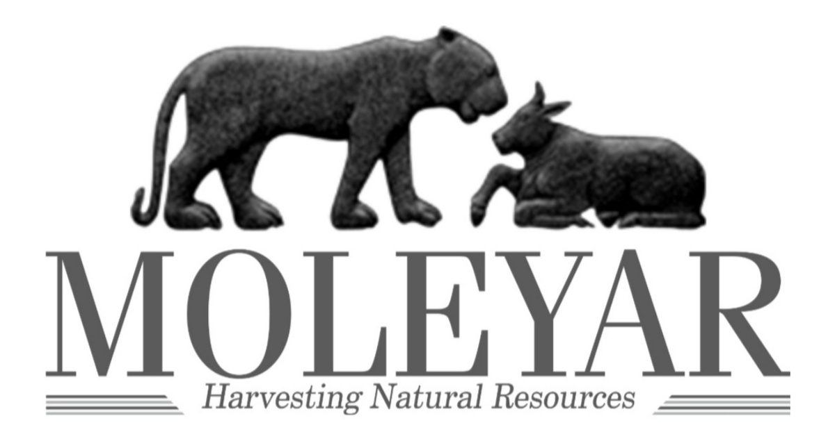 Moleyar Marketing LLP